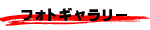 �t�H�g�M�������[